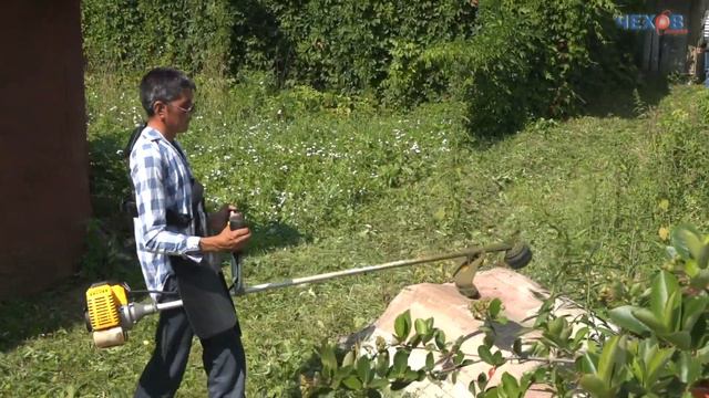 Затерянная в траве: почему госадмтехнадзор не сразу нашел пенсионерку? смотреть онлайн