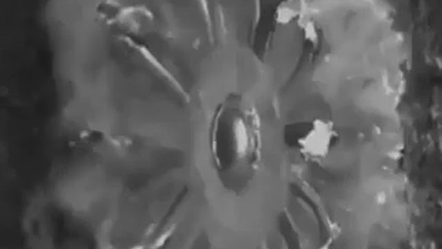 Замедленная съемка попадания пули в стену смотреть онлайн