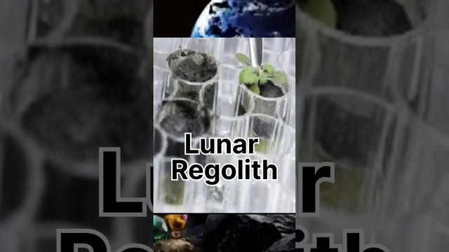 चांद और पृथ्वी की मिट्टी में क्या अंतर है?#moon #Earth#plant#Applo astronaut #Lunar Regolith