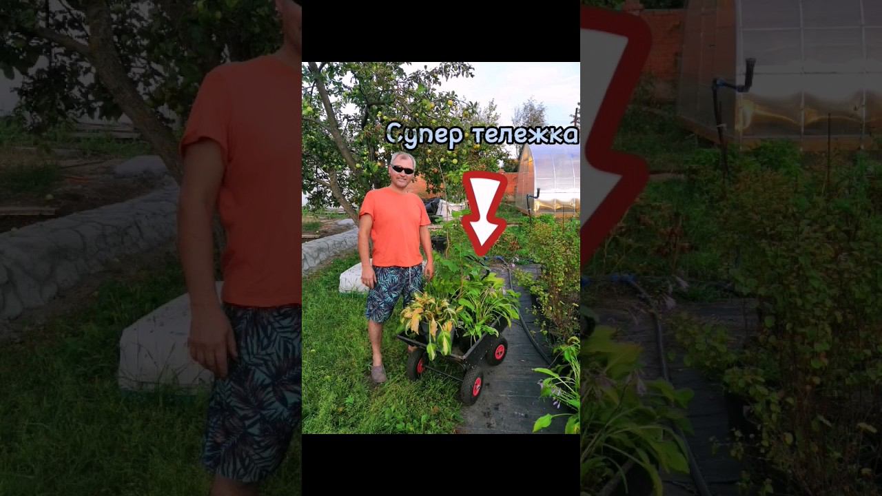 Тележка - очень важный инструмент на даче! #шортс #тележка #тачка