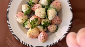 Winter Frost Pineberries - Trader Joe’s Product Review