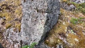 Радколье. Священный остров