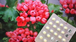 СДЕЛАЙ Это в ФЕВРАЛЕ С ГЕРАНЬЮ, 1 таблетка ТВОРИТ ЧУДЕСА! Даже самый чахлый цветок оживет и зацветет