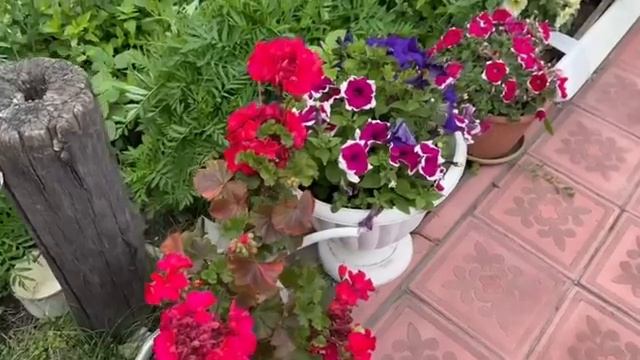 Штраф за превышение ??♀️ ночью ходили за горохом / в лес за вениками смотреть онлайн