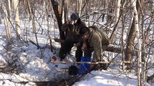 Пассивная охота на зверя, охота на волка, об оленях