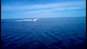 bayliner capri 1802