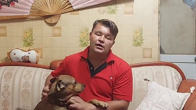С ЧЕГО НАЧАТЬ ОГОРОД НА ПОДОКОННИКЕ.