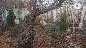 Декор для сада из мусора.