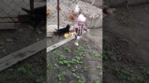 как правильно кормить гусей))