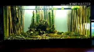 3D фон аквариума