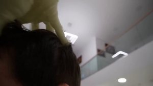 УКРАЛИ КОТА КЕВИНА В ШКОЛЕ УЭНСДЕЙ | ЗАПЕРЛИСЬ В КАБИНЕТЕ ДИРЕКТОРА