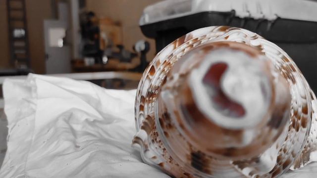 Alizbar - Рог Тритона или Как сделать из морской раковины музыкальный инструмент смотреть онлайн