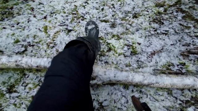 Лесная изба. В тайгу на 9 дней. Удачная охота на глухаря. Добрые походы. смотреть онлайн