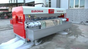 КОВРОМОЕЧНАЯ МАШИНА Euromak Worker 3000 Sc