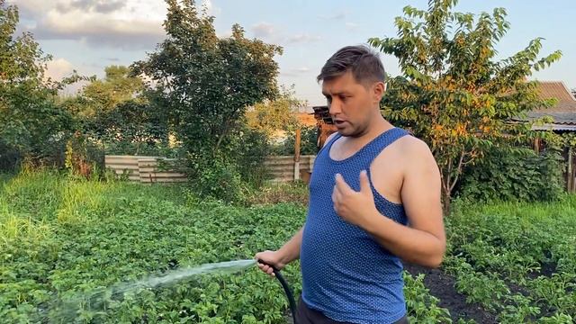 Полив для Картофеля