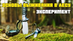 Основы выживания в лесу. Часть 2 | Эксперимент