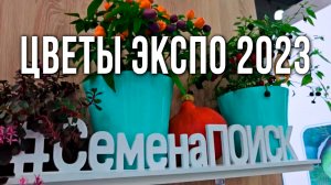 Международная выставка "Цветы Экспо" в Москве. Обзор выставки Flowers Expo 2023.