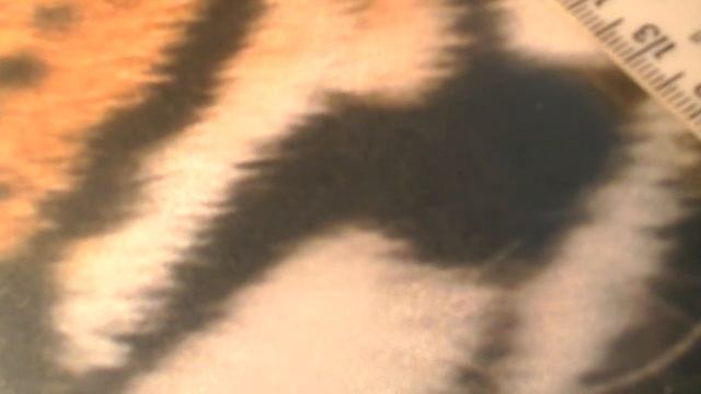 Мои новые поделки смотреть онлайн