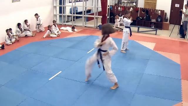 Тхэквондо (ВТФ). Алькор. Пхумсе. Понимаскина М.-Дерепаско А. смотреть онлайн