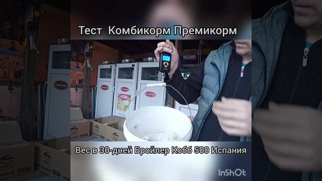 Тест комбикорм Премикорм бройлер Кобб 500 Испания 30-дней взвешивание. смотреть онлайн