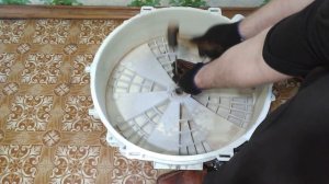 Как вынуть сальник из бака стиральной машины