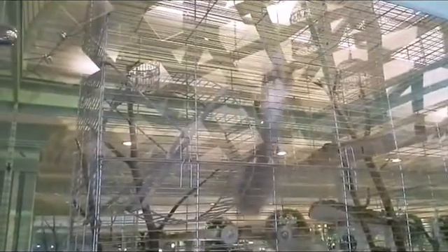 Бешаная белка смотреть онлайн