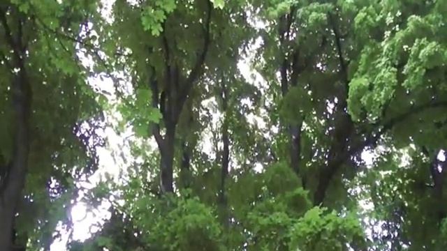 Більче Золоте, Ч 3, Ворота до РаЮ!!!