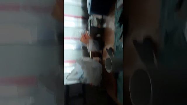 Переезд в Россию/Переезд в свой дом/Начали свозить вещи