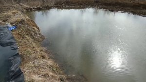 Как выкопать пруд. Этап 6: Заполнение, Биобаланс, Рыба, Родник в пруду   How to dig a pond. Stage 6
