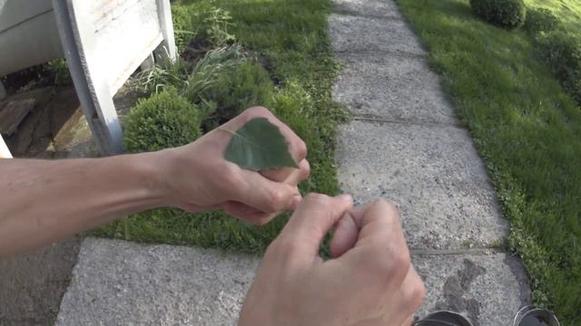 ХЛОПУШКА ИЗ 90х смотреть онлайн