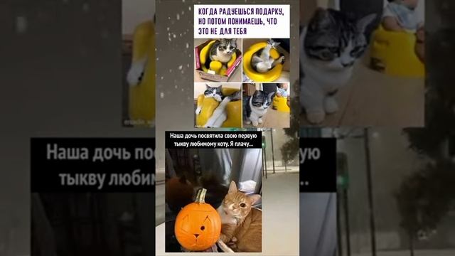 мем #1