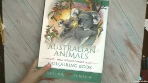 Моя гигантская коллекция раскрасок. Все раскрашенные работы за 4 года  / #Раскраска #раскрашиваю