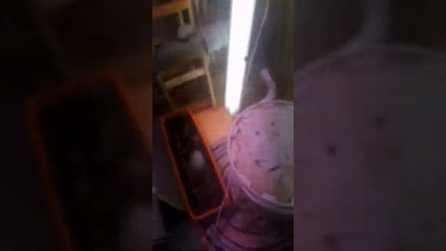 Гидропоника:эпин экстра