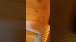 Дачный домик 4 м