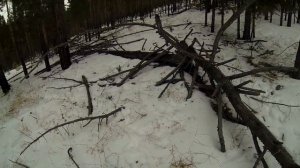 За дровами в лес на УАЗе. Собираем валежник.