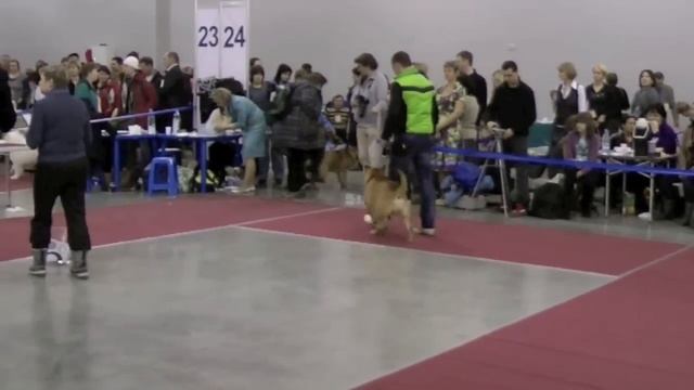 Евразия день 2 1