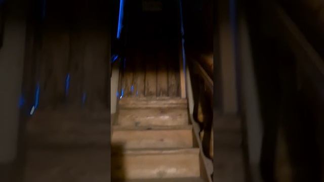 Колокольня Ниловой Пустыни. смотреть онлайн