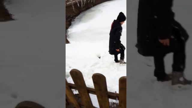 я решила пойти в гости к уткам