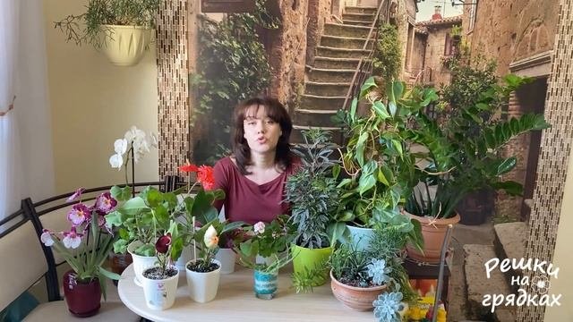 ТОП важных правил Комнатные растения уход | Как не заскучать во время карантина ??