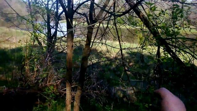 Прогулки с АКА Сигнум про у лесной реки! Поиск монет. смотреть онлайн