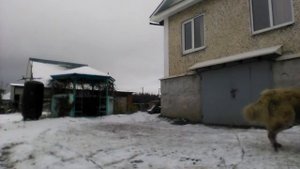 Трактор переломка из мотоблока Салют