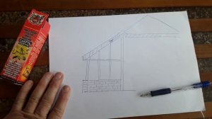 Как уничтожить короеда в доме.