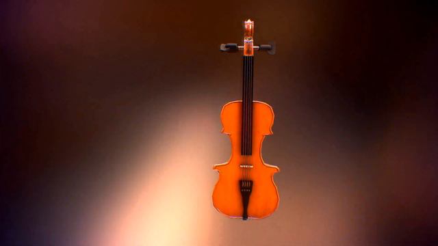 Violin  Maya  Raghavendra Vaddar