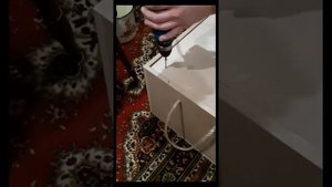 Pride ST 15. Распаковка