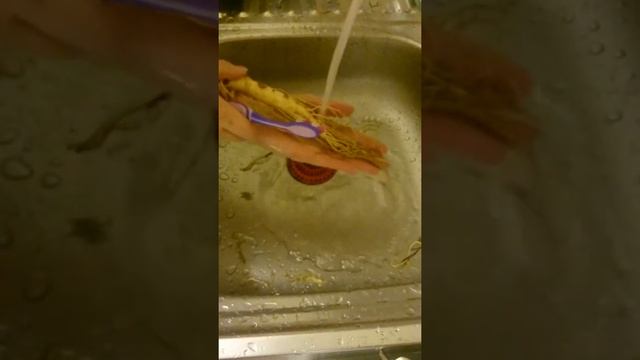 Как приготовить женьшень смотреть онлайн