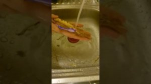 Как приготовить женьшень