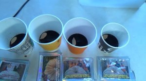 Пытаюсь вырастить тыкву 1000кг #2 -  сажаю семена