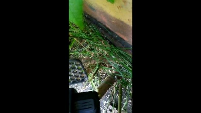 ЦЕПНАЯ МИНИ ПИЛА НА Li-Ion АКБ 18V СУЧКОРЕЗ КУСТОРЕЗ ЭЛЕКТРОПИЛА ПРОВЕРКА ОБЗОР ПРОВЕРКА ТЕСТ MAKIT смотреть онлайн