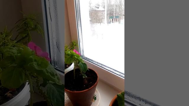 2 февраля 2019 г. смотреть онлайн