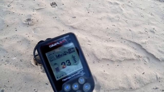 Nokta Makro Simplex+ на городском пляже осваиваю металлоискатель смотреть онлайн